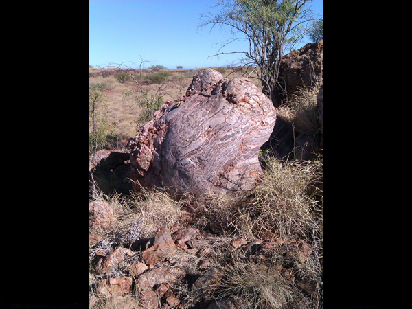 Geology found on Site.